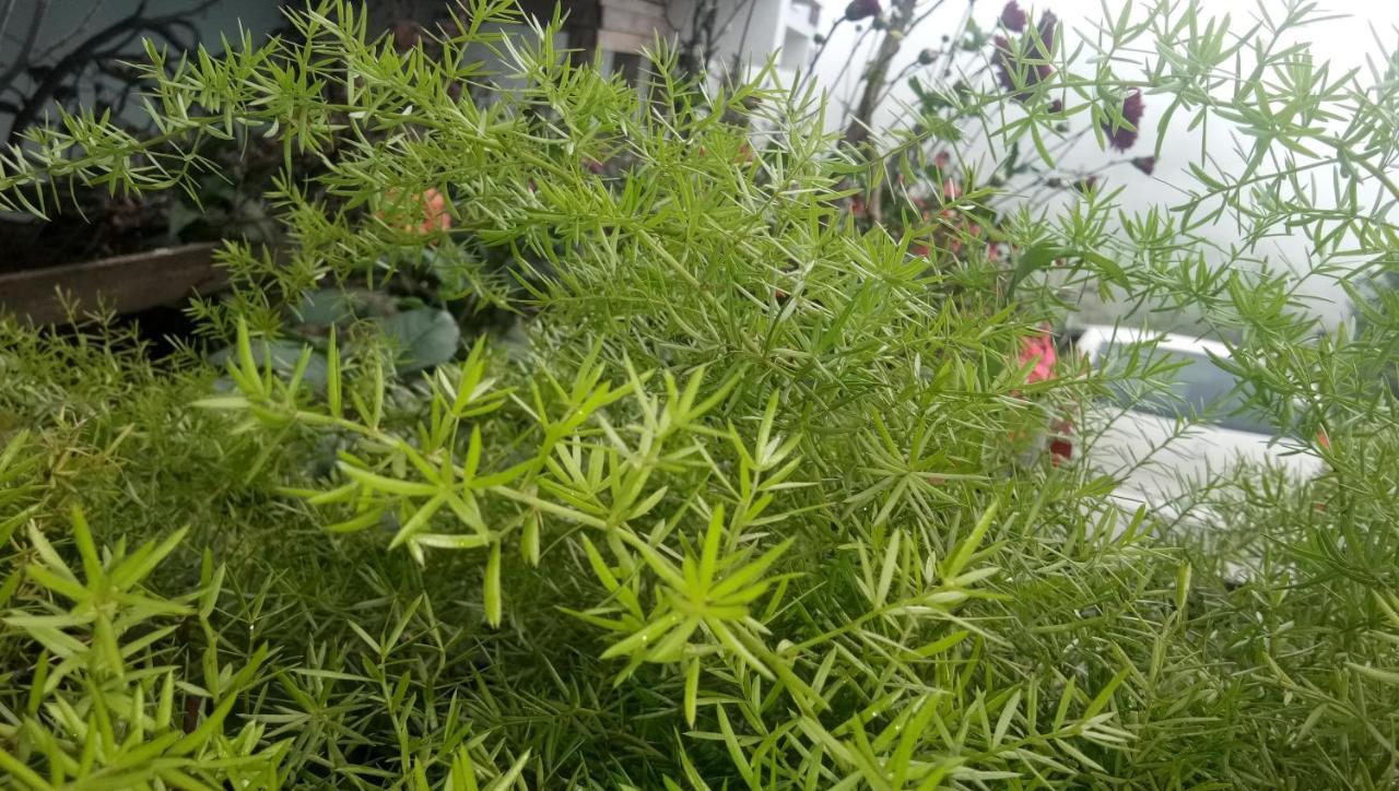 Ezhil Residency Ξενοδοχείο Kodaikanal Εξωτερικό φωτογραφία